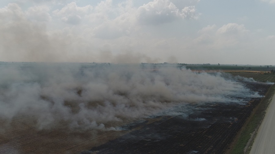 Adanaâda anÄ±z yangÄ±nlarÄ± halkÄ± nefes alamaz hale getirdi..