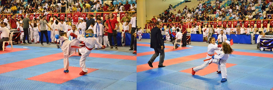 cukurova-karate-musabakalari-2.jpg