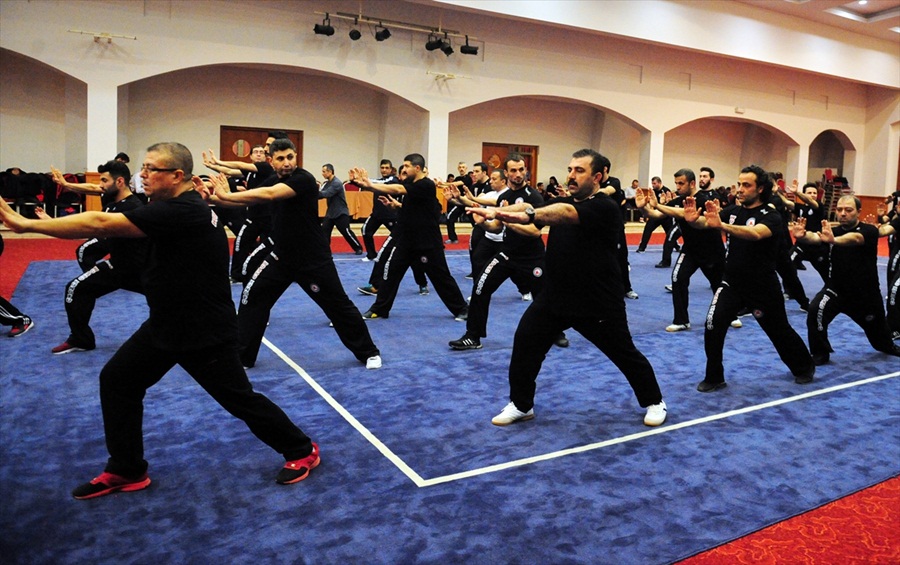 wushu-kung-fu-1.jpg